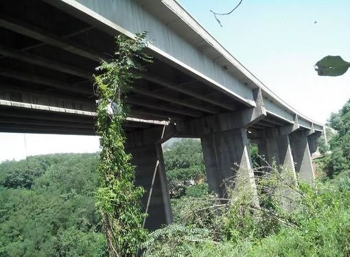 河南省连霍高速三道沟大桥预应力碳纤维板加固